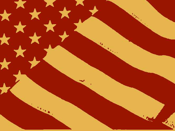 bandeira americana estilizada