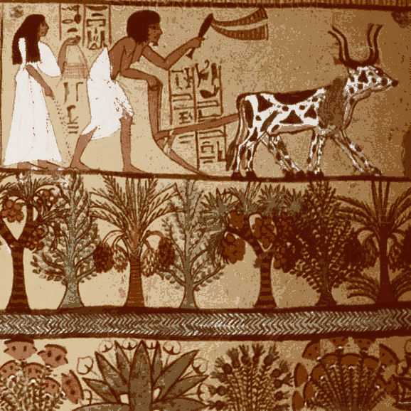 Ilustração de agricultura egípcia antiga