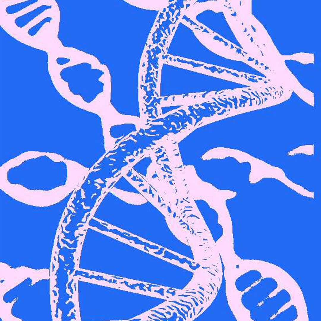 DNA