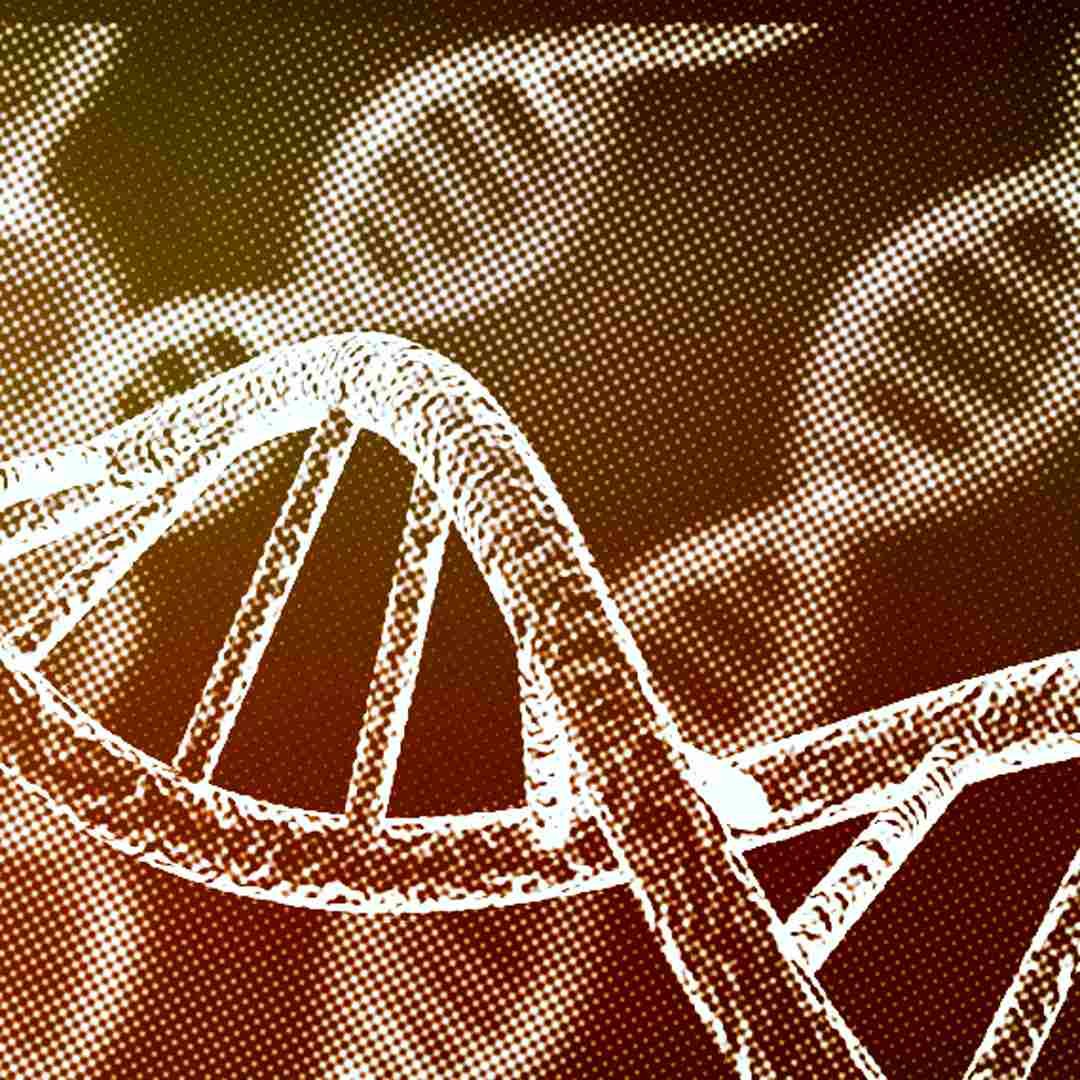 DNA