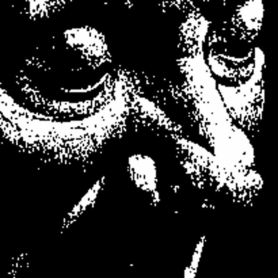 nariz