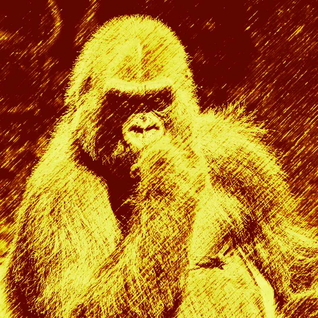 yellow gorilla