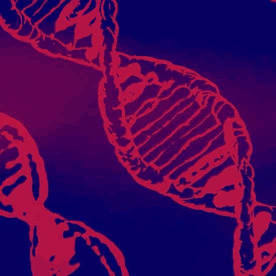 DNA