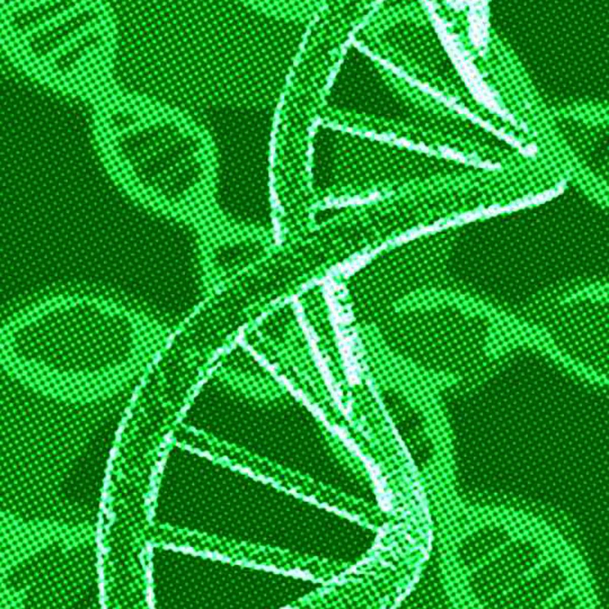 moléculas de DNA