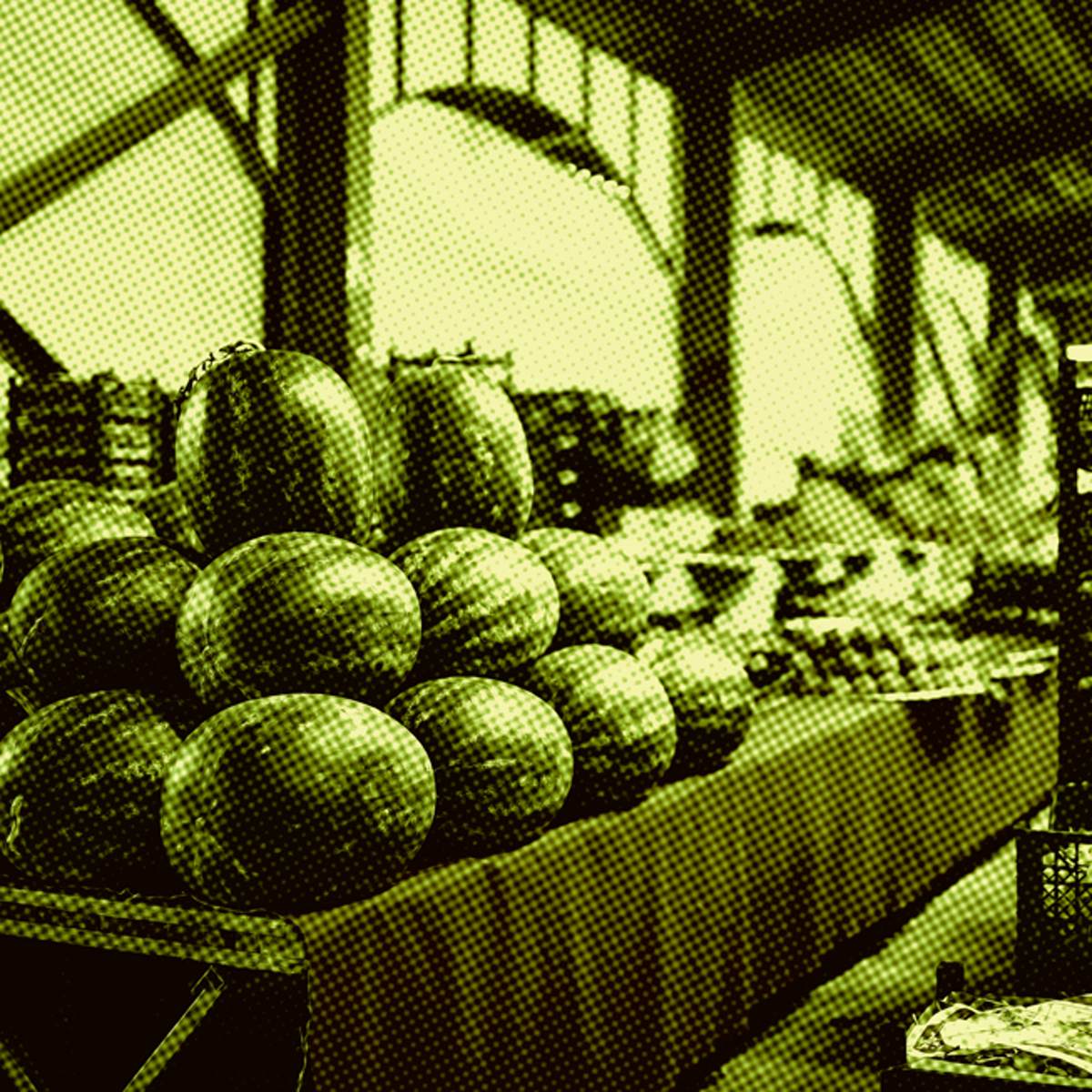 melancias