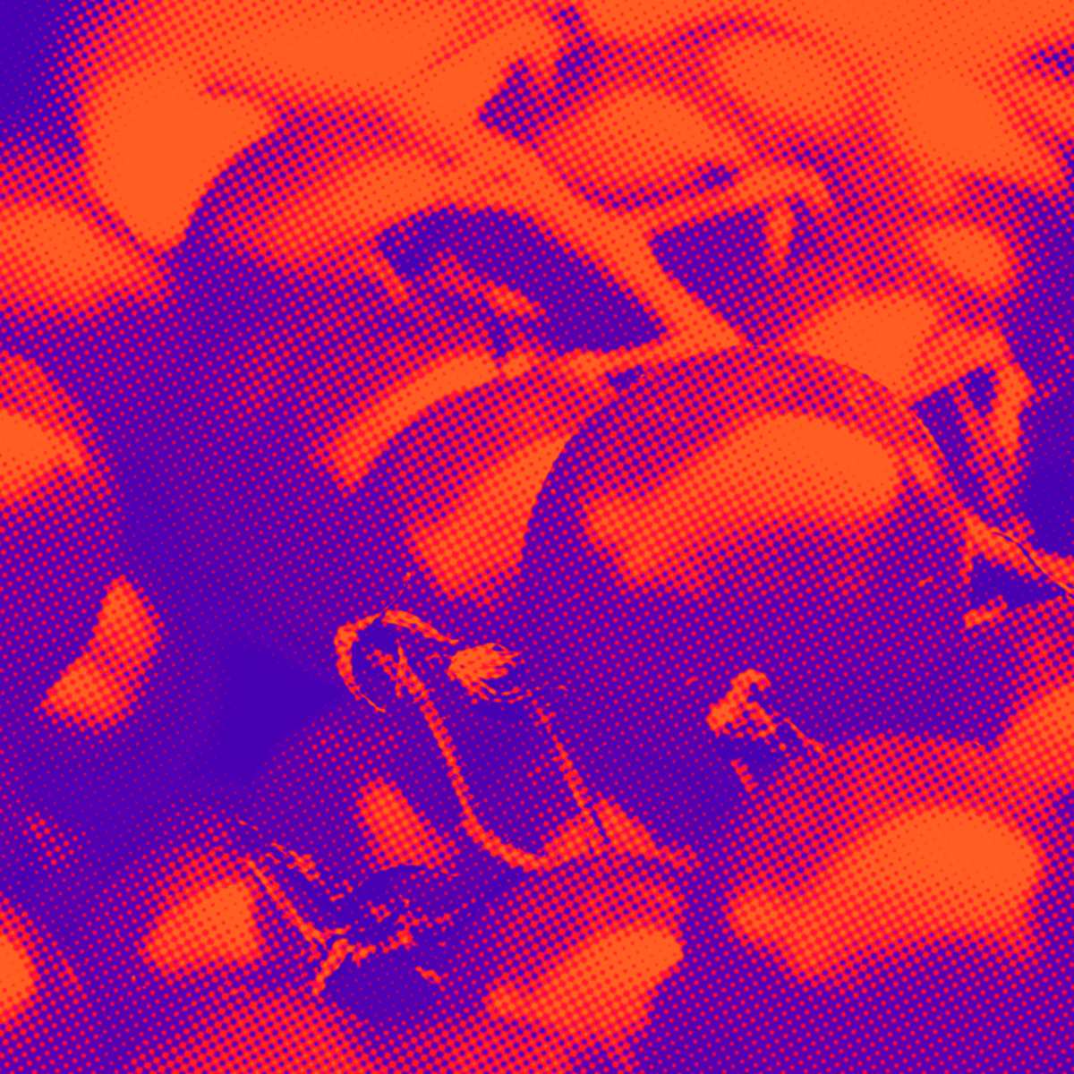tomates