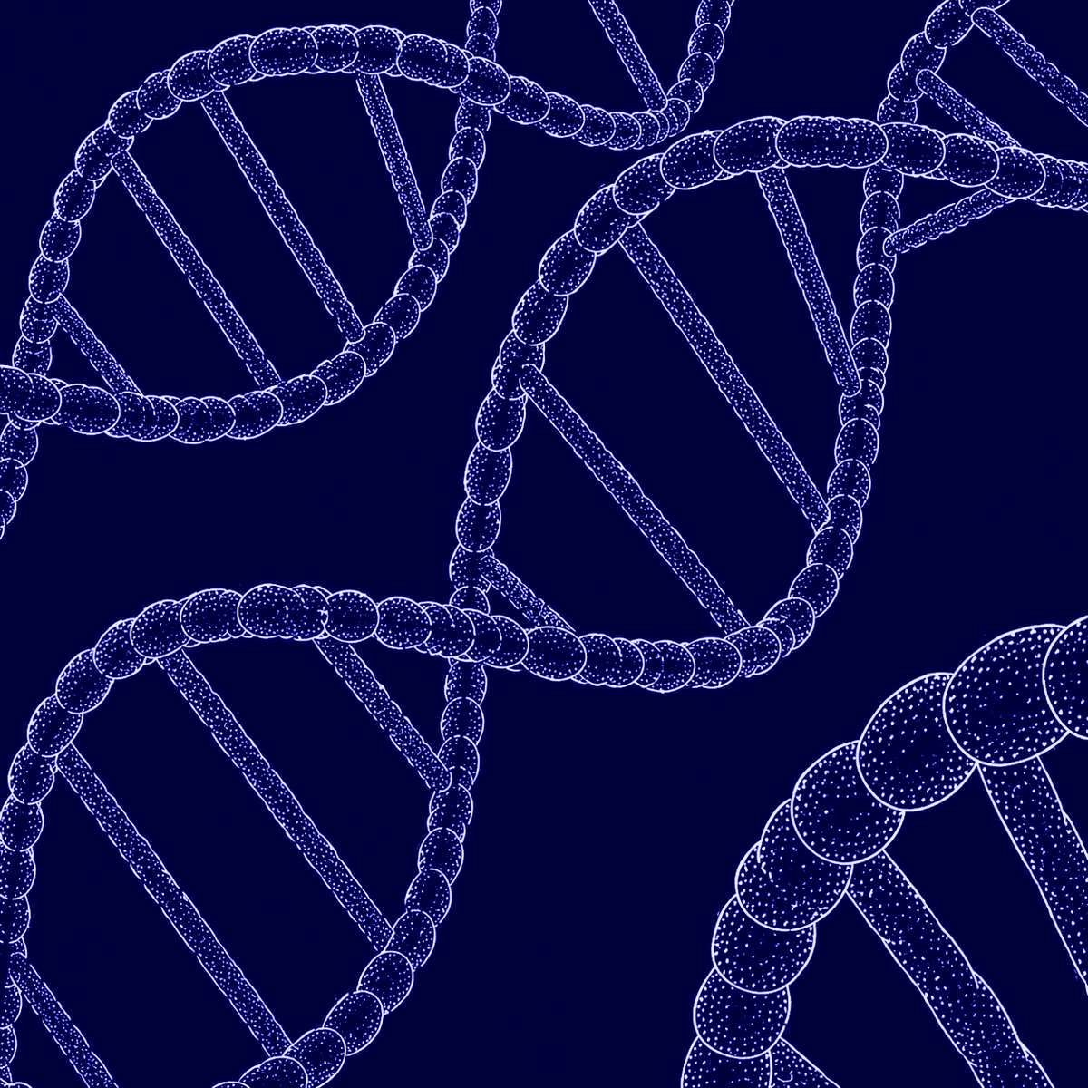 DNA egoísta