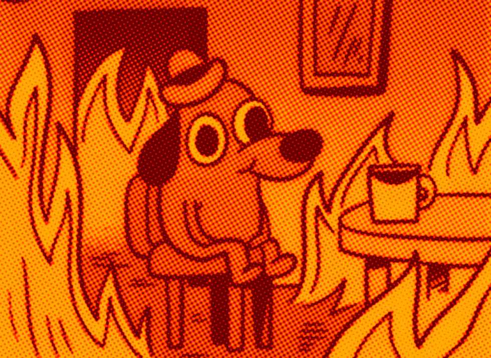 dog