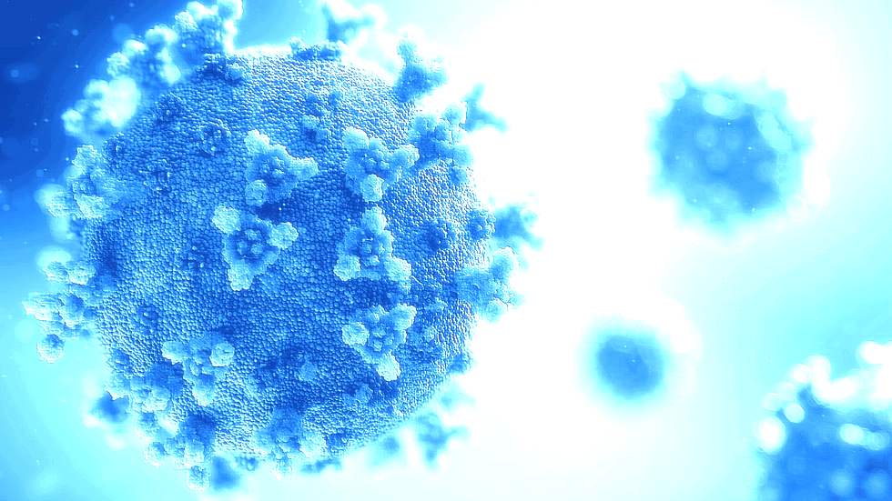 coronavirus