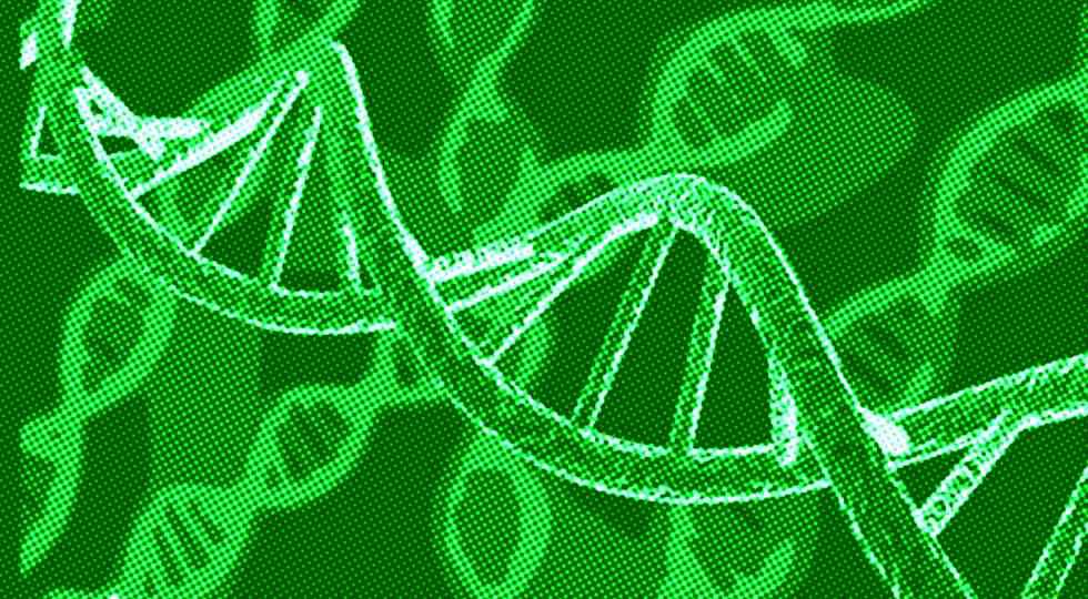 moléculas de DNA