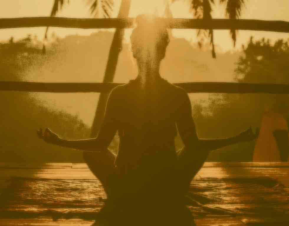 wellness